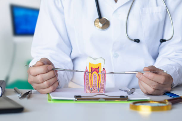 Best Emergency Treatment for Toothache in Reading, OH